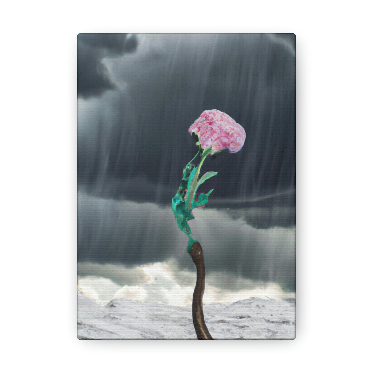 "Aight Against the Storm: The Story of a Lonely Flower" - The Alien Canva