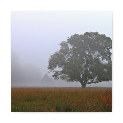 El árbol solitario en el prado brumoso - The Alien Canva