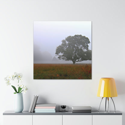 The Lonely Tree in the Foggy Meadow - The Alien Canva