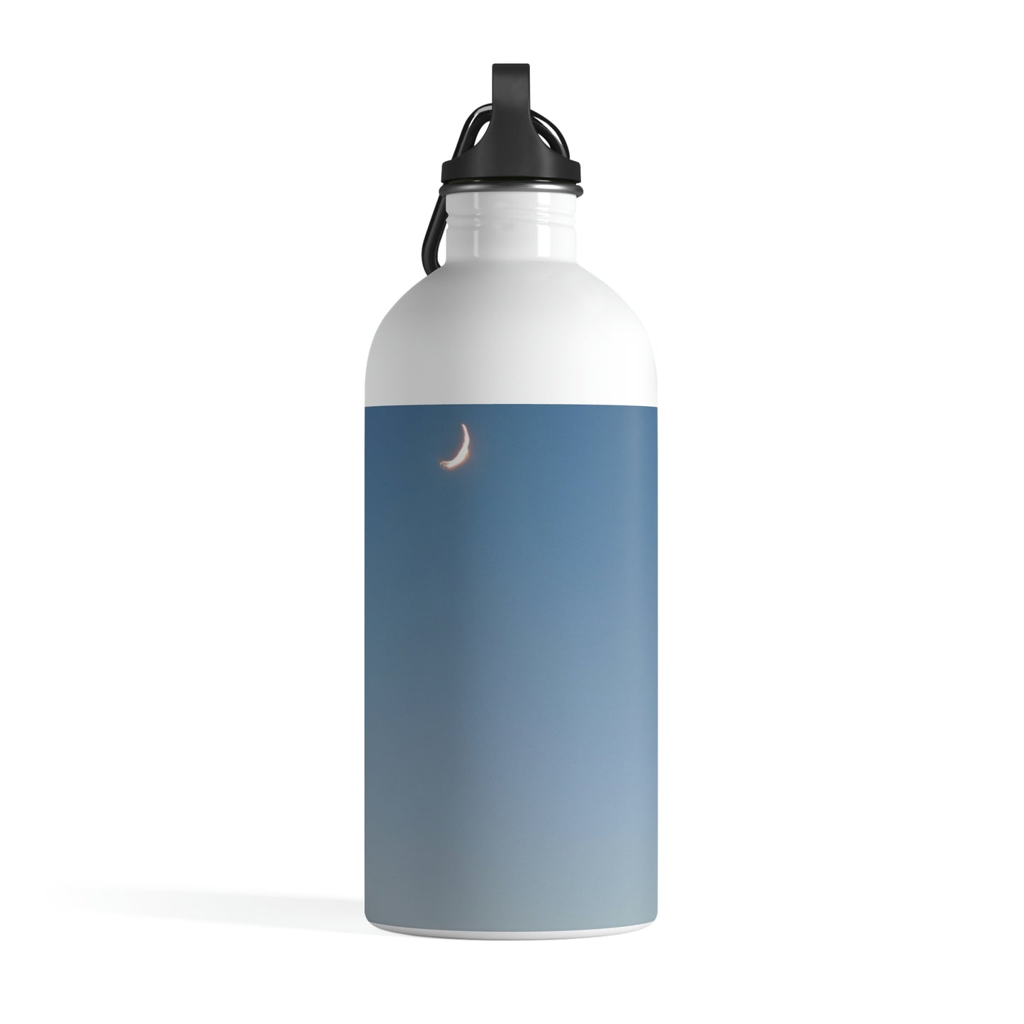 The Crescent Moon in Winter's Shadow - The Alien Stainless Steel Water Bottle