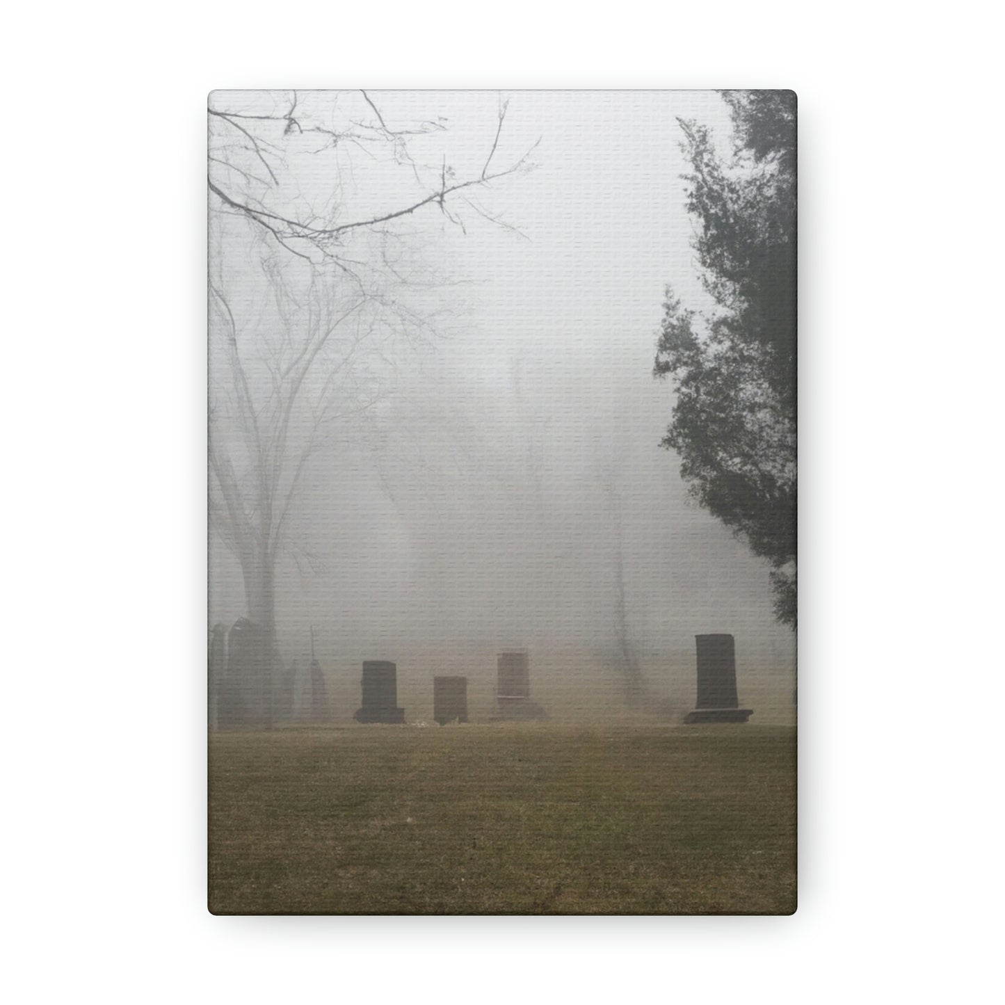 "Perdido en la niebla: un cementerio olvidado" - The Alien Canva