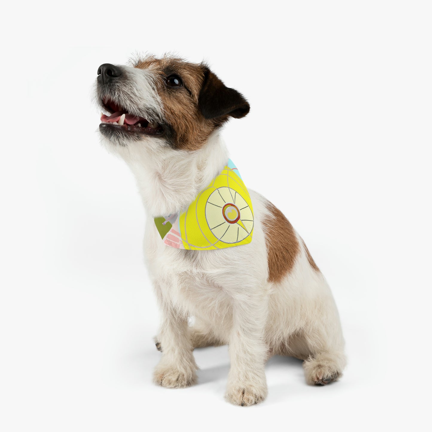 trip

"Unexpected Journeys: The Backpacking Family Adventure" - The Alien Pet Bandana Collar