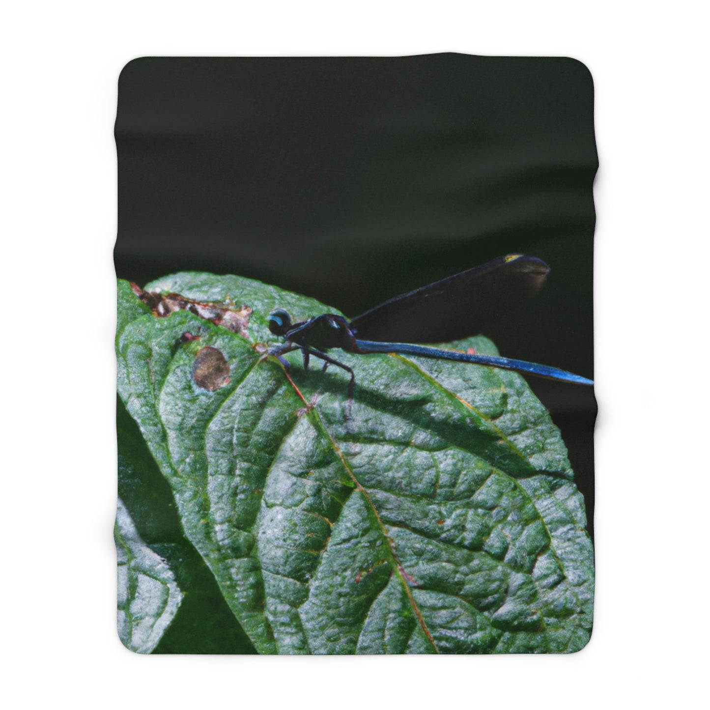 "A Moment of Transience" - The Alien Sherpa Fleece Blanket