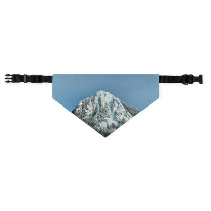 "Winter Wonderland" - The Alien Pet Bandana Collar #nft