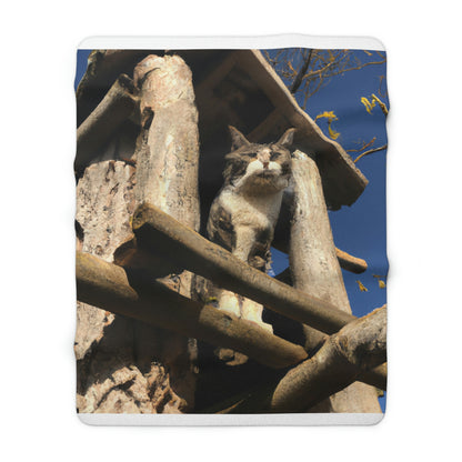 "Kitty in the Ruins" - The Alien Sherpa Fleece Blanket