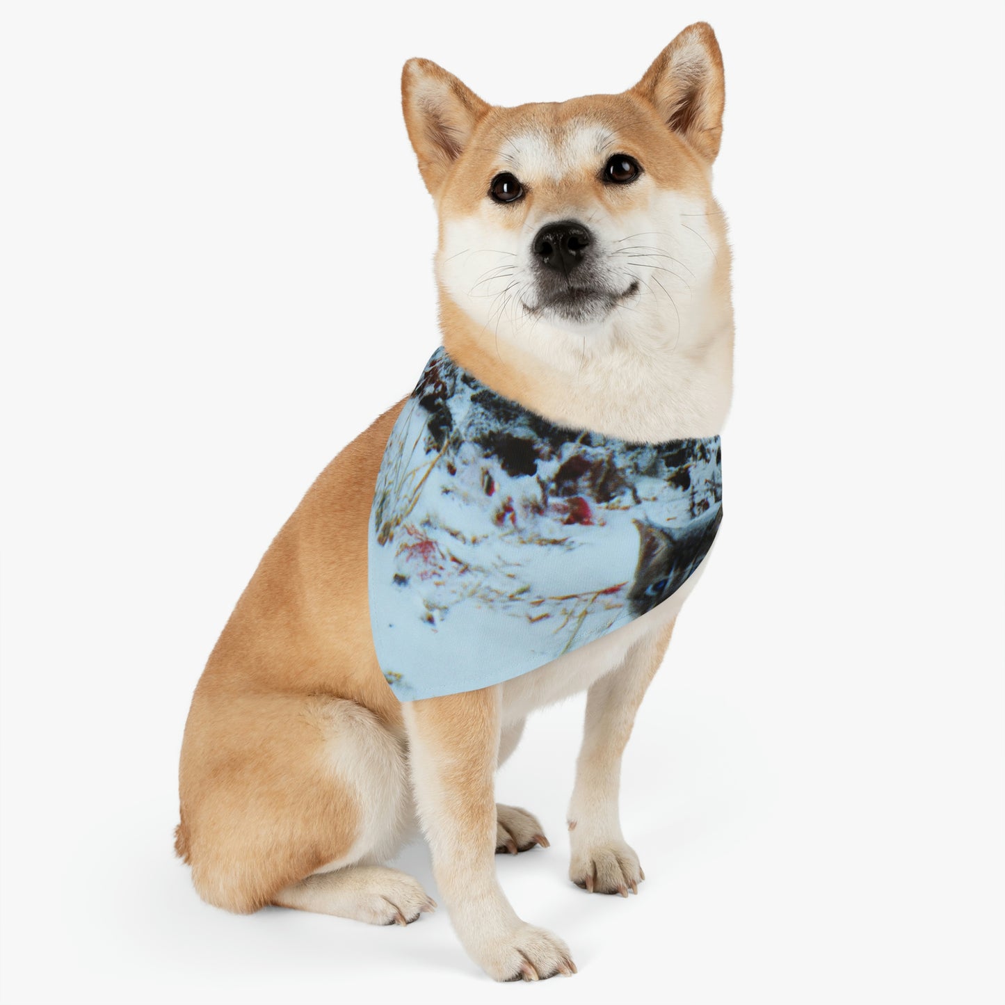 "Gatito valiente en la tormenta congelada" - El collar de bandana para mascota alienígena