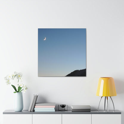 The Crescent Moon in Winter's Shadow - The Alien Canva