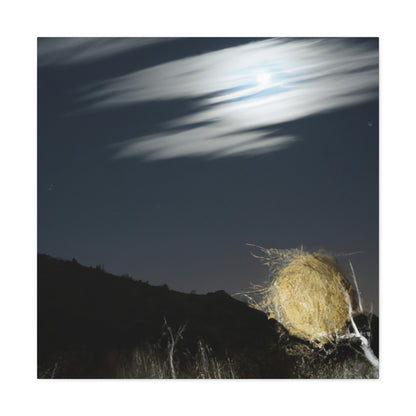 "Midnight in the Desert Tumbleweed" - The Alien Canva