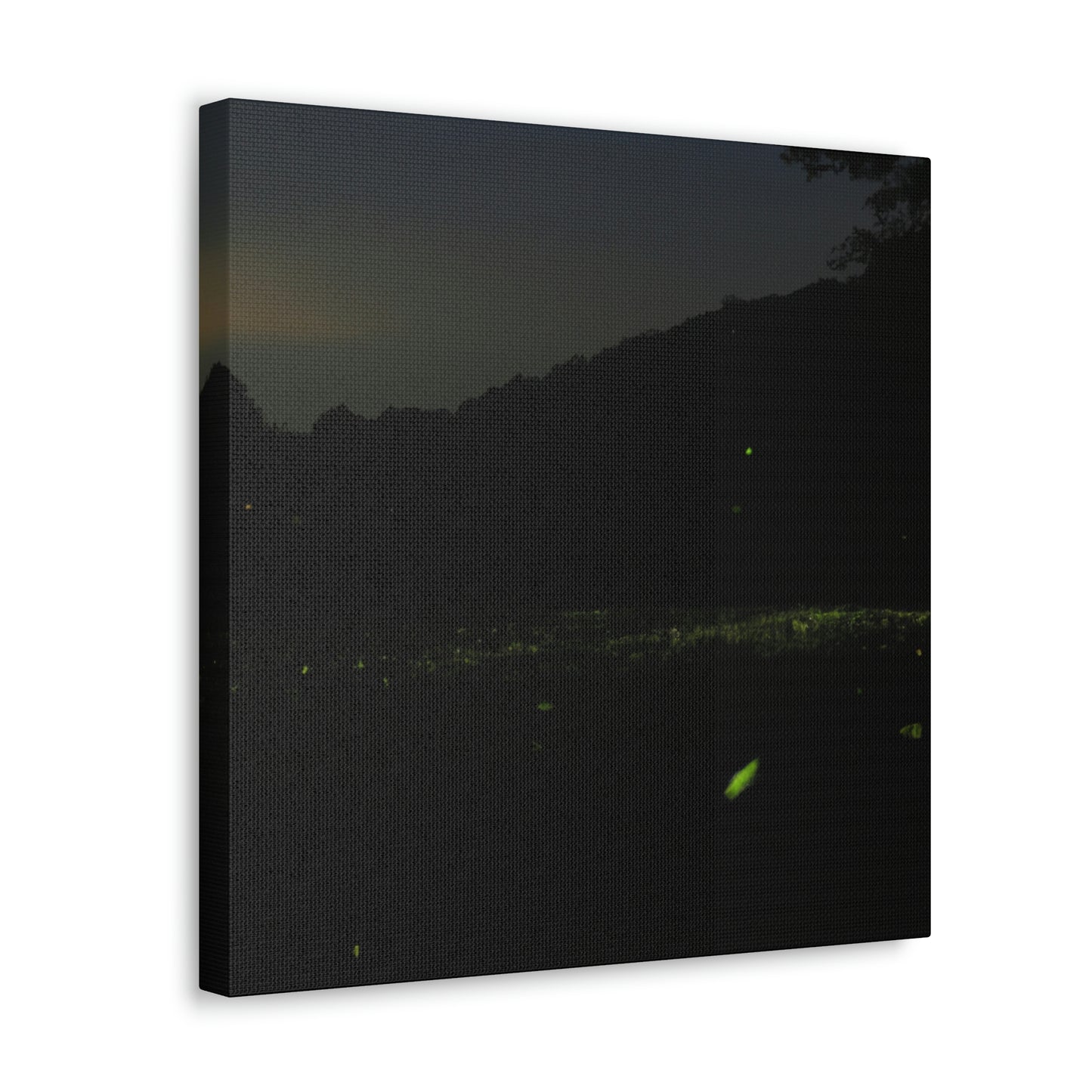 "A Thousand Fireflies in the Night Sky" - The Alien Canva