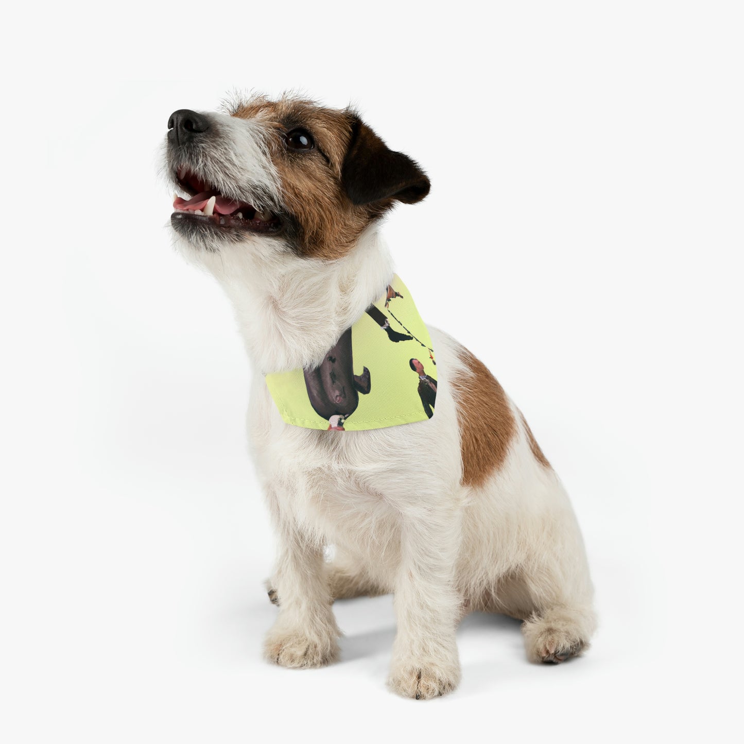 "Lost in the Millennial Maze: A Journey to Self-Discovery" - The Alien Pet Bandana Collar