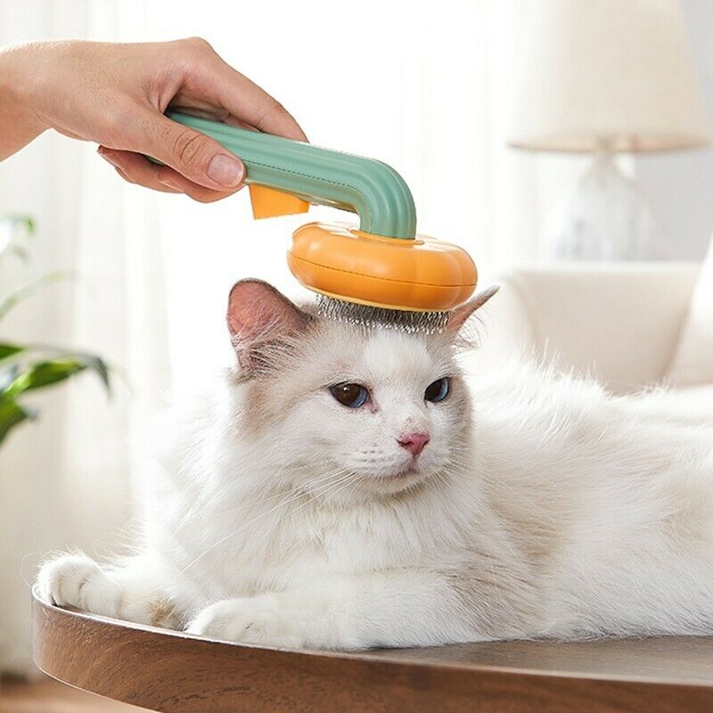 Cepillo de calabaza para mascotas, cepillo de limpieza automática para perros, gatos, cachorros, conejos, cepillo para gatos que elimina suavemente la capa inferior suelta, esteras, cepillo para pelo enredado