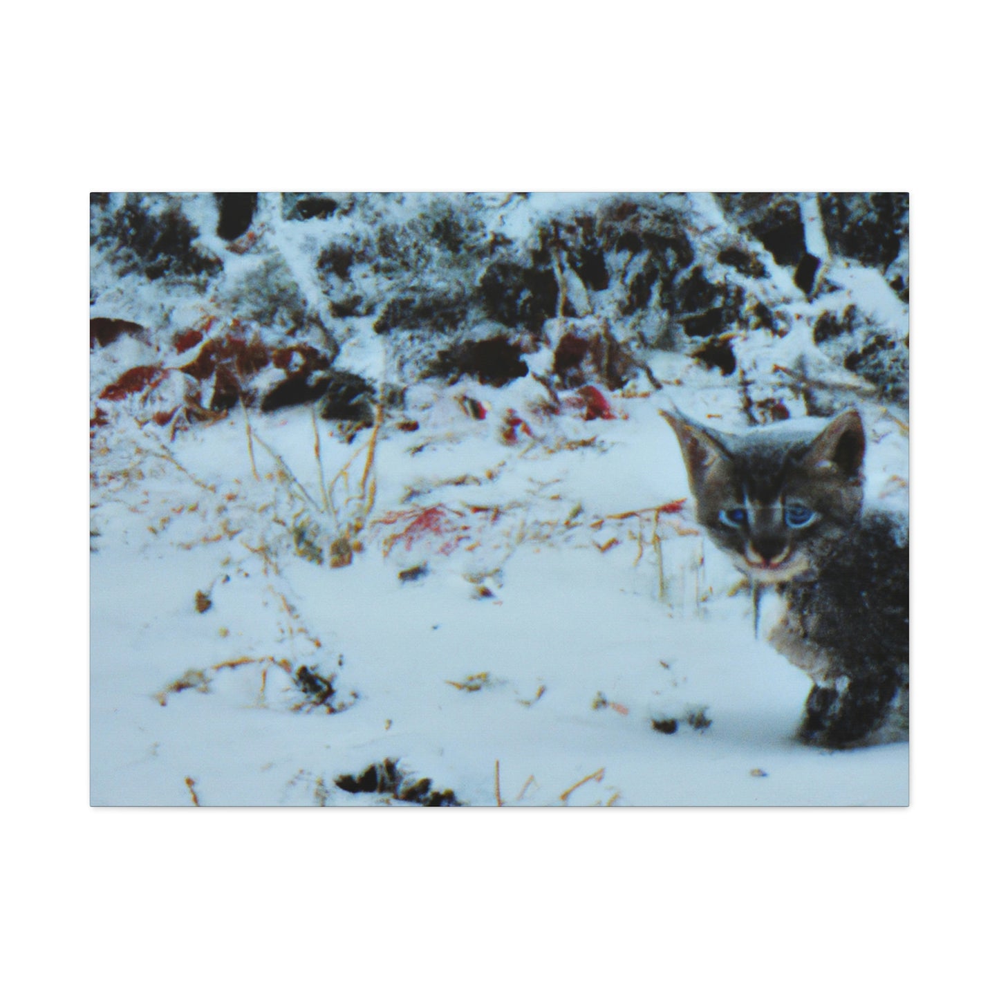 "Brave Kitten in the Frozen Storm" - The Alien Canva