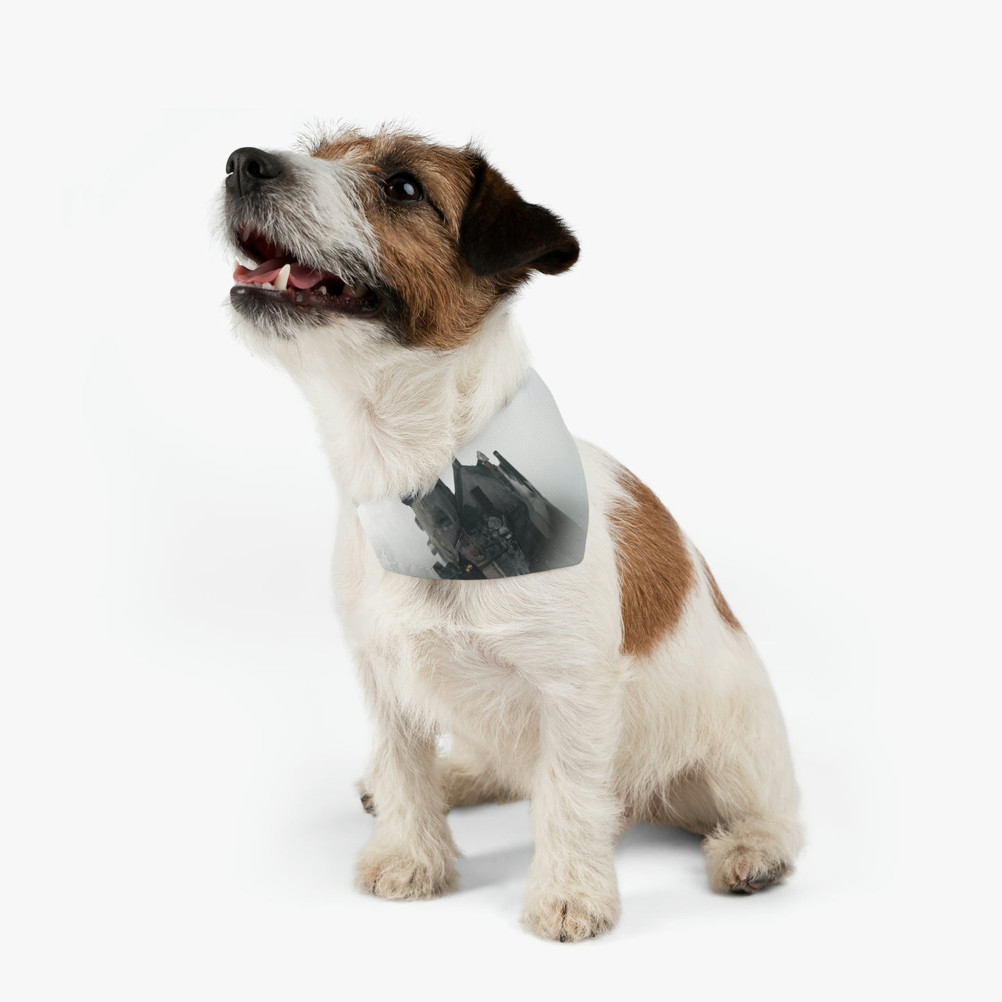 "Ghostly Citadel of the Mist" - The Alien Pet Bandana Collar