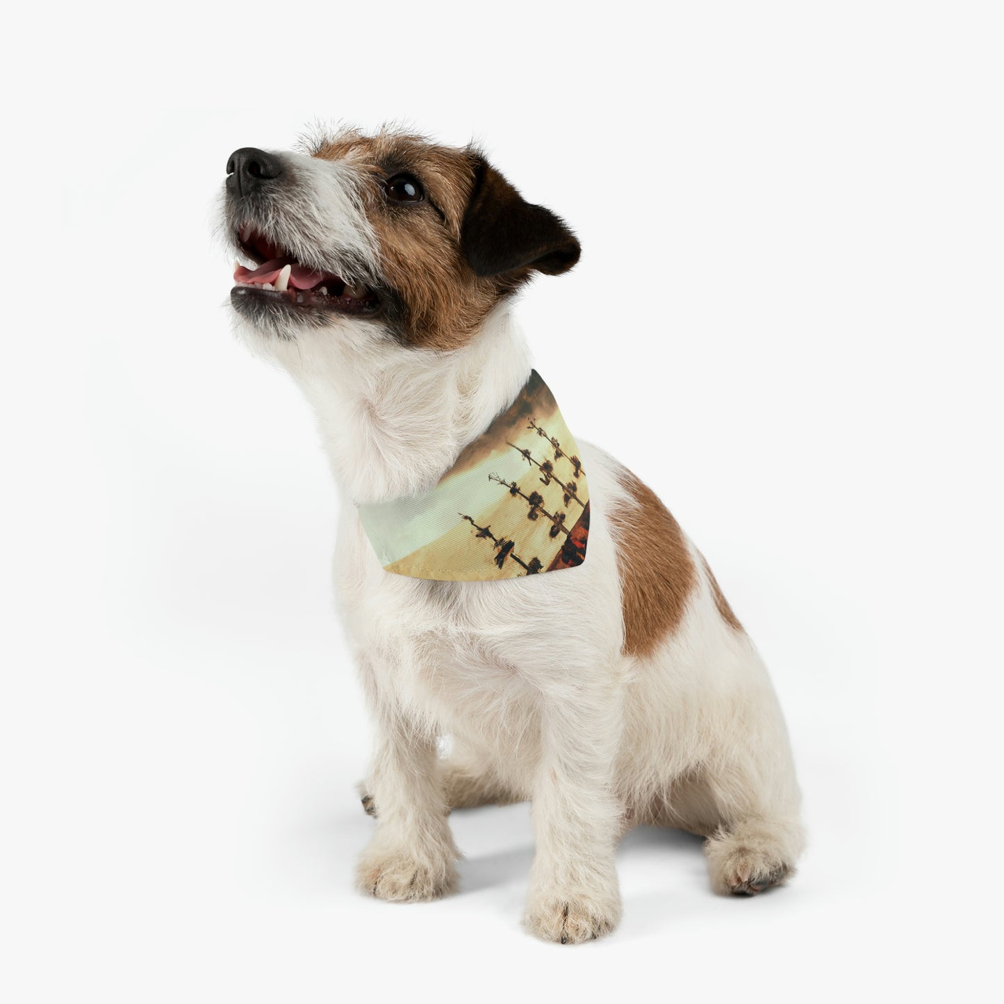 "Lost at Sea: Stranded On A Stormy Desert Island" - The Alien Pet Bandana Collar