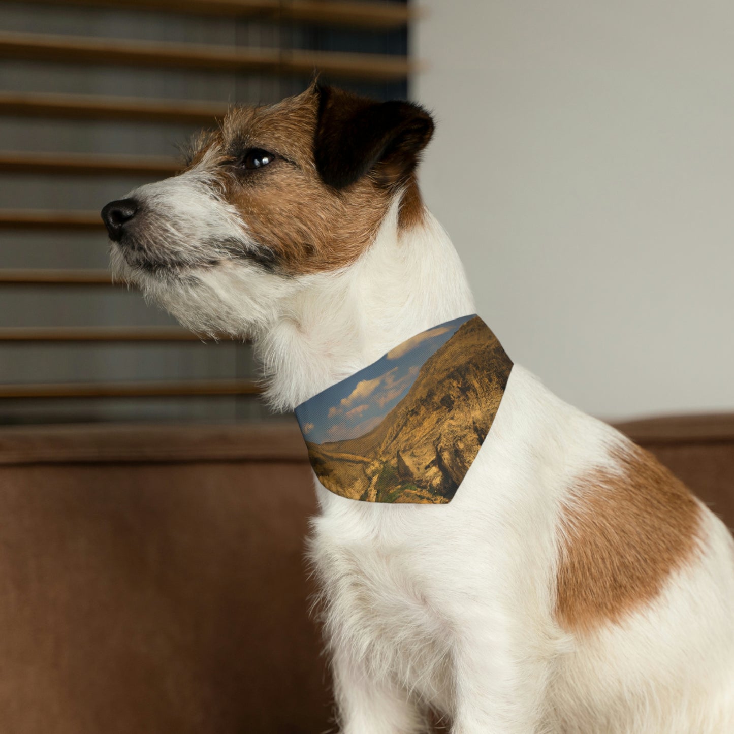 "Feline Flight Over the Grand Gulch" - The Alien Pet Bandana Collar