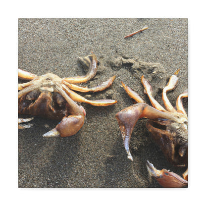 "Crab Creatures from the Sea" - The Alien Canva