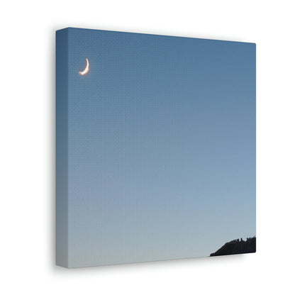 The Crescent Moon in Winter's Shadow - The Alien Canva