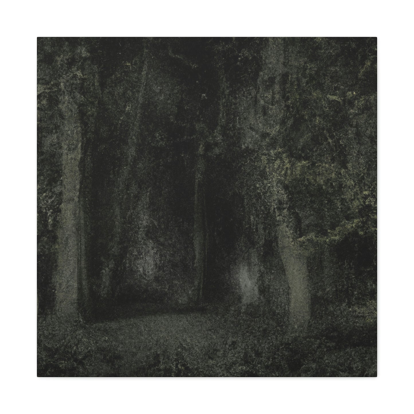 "The Apparition Woods" - Die außerirdische Leinwand