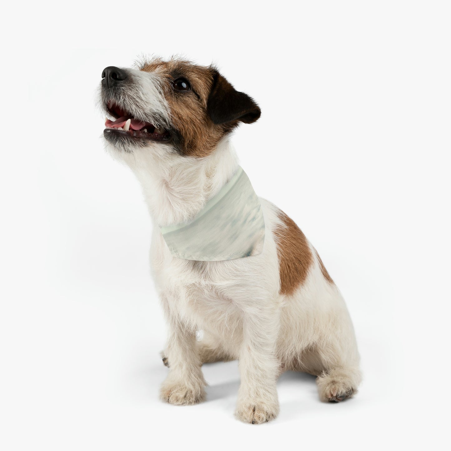 "Heaven's Horizon" - The Alien Pet Bandana Collar