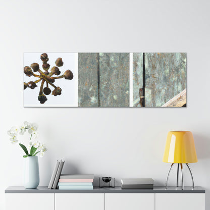 "Nature's Treasures: Celebrating the Beauty of Everyday Objects" - Canvas