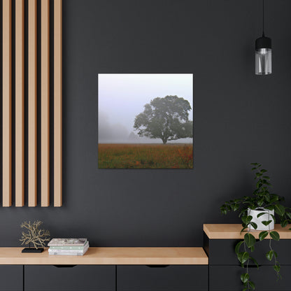 The Lonely Tree in the Foggy Meadow - The Alien Canva