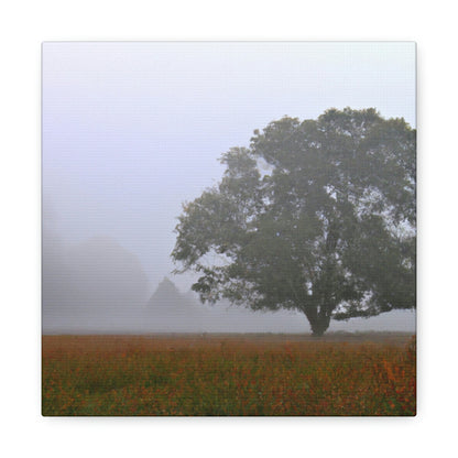 El árbol solitario en el prado brumoso - The Alien Canva