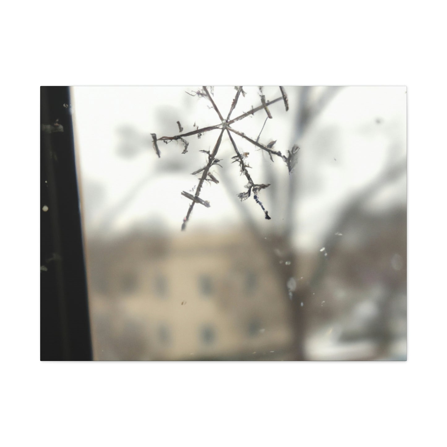 "Tiny Tragedy: A Snowflake's Story" - The Alien Canva