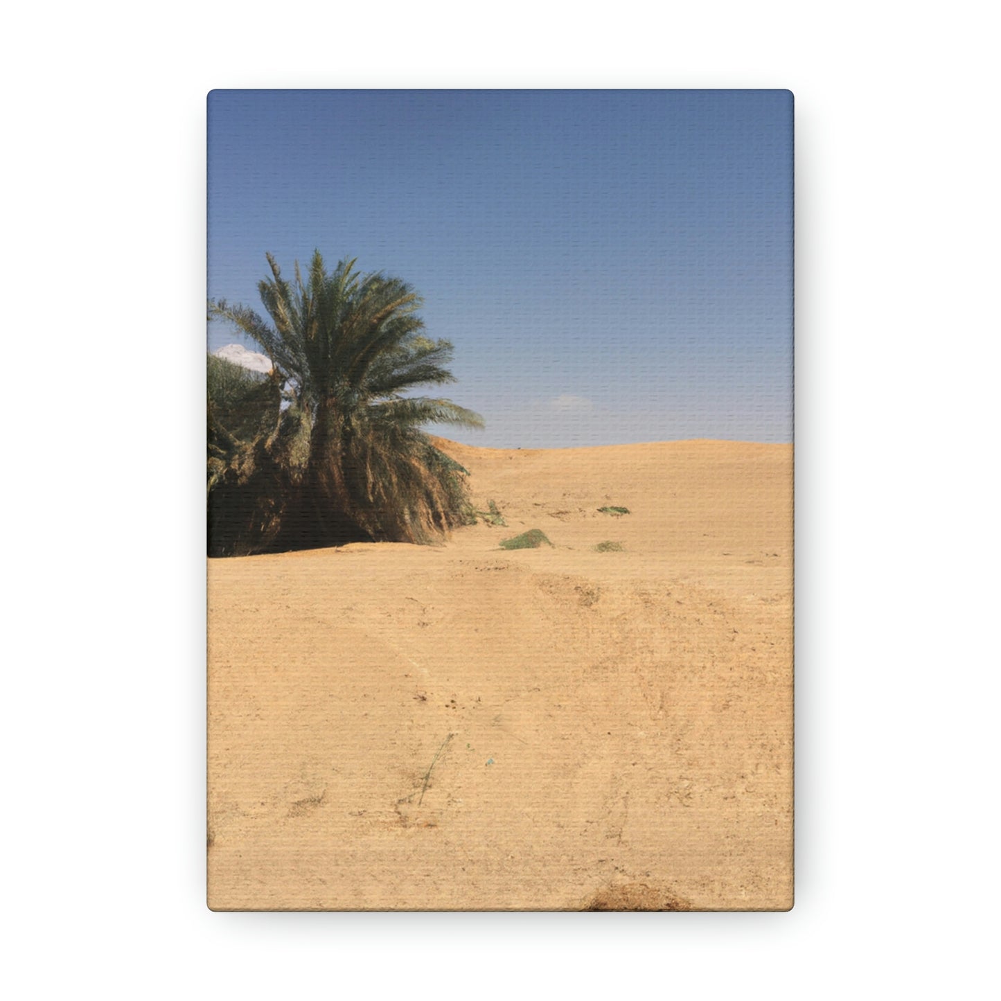 "A Desert Oasis" - The Alien Canva