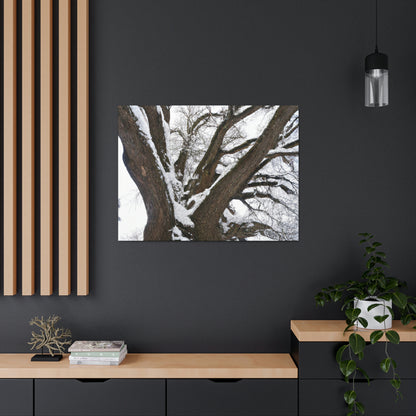 "Winter Wonderland Tree" - The Alien Canva