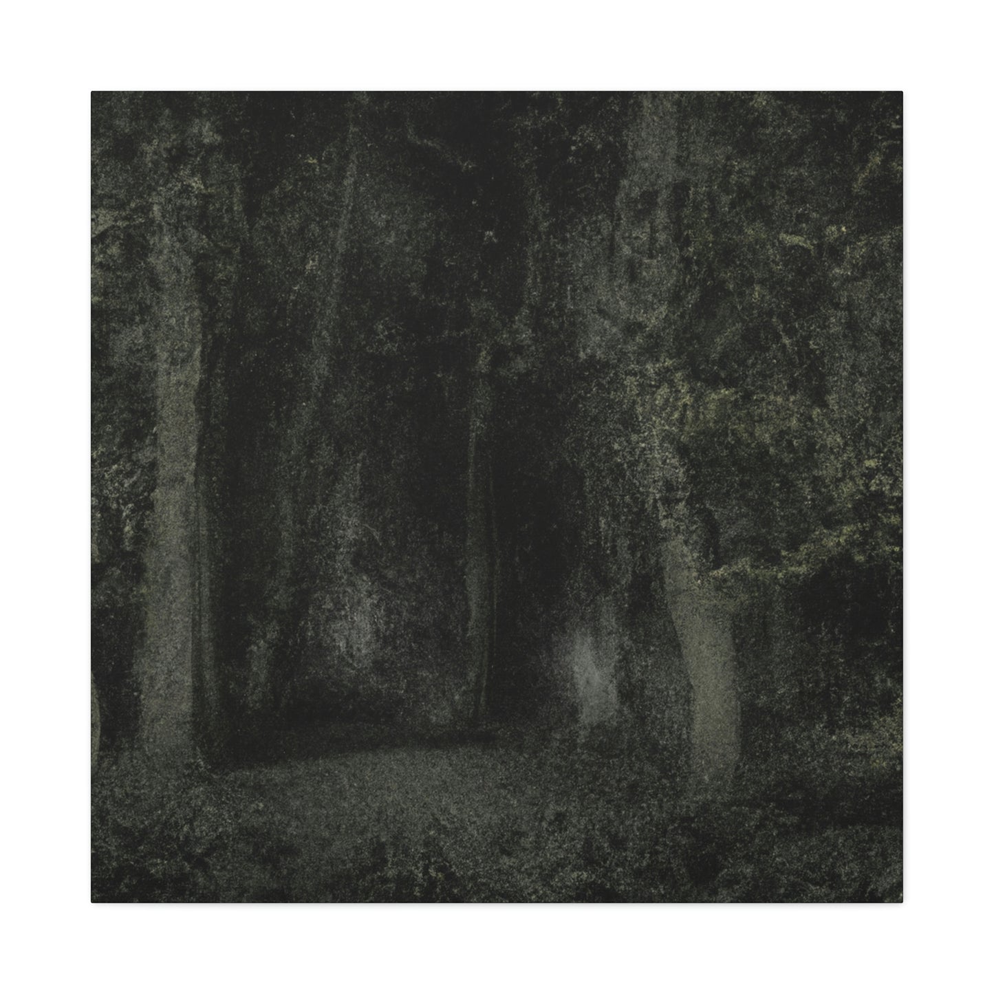 "The Apparition Woods" - Die außerirdische Leinwand