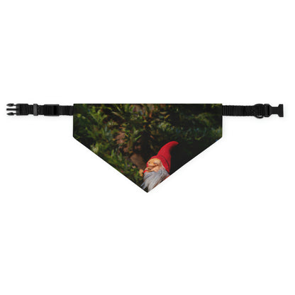 The Gnome's High-Rise Adventure - The Alien Pet Bandana Collar