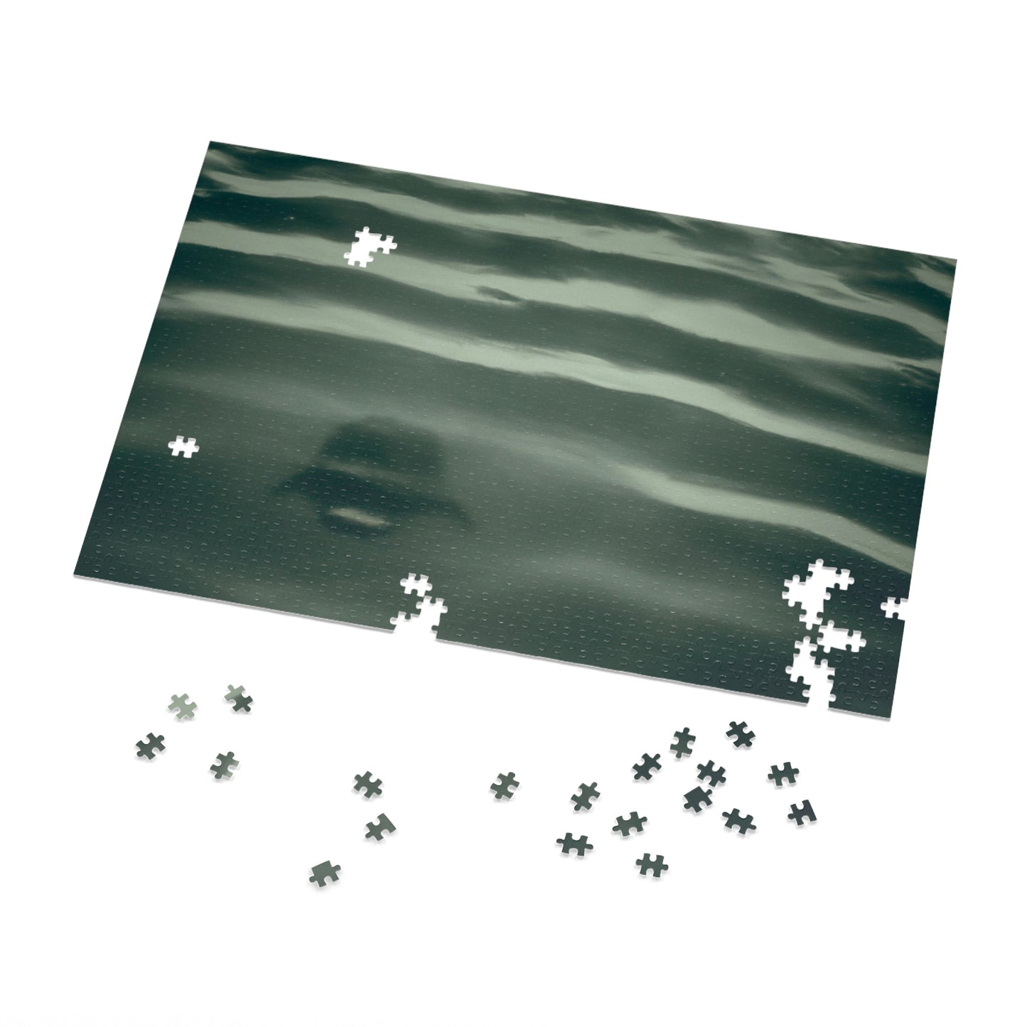 "Hidden Depths". - The Alien Jigsaw Puzzle