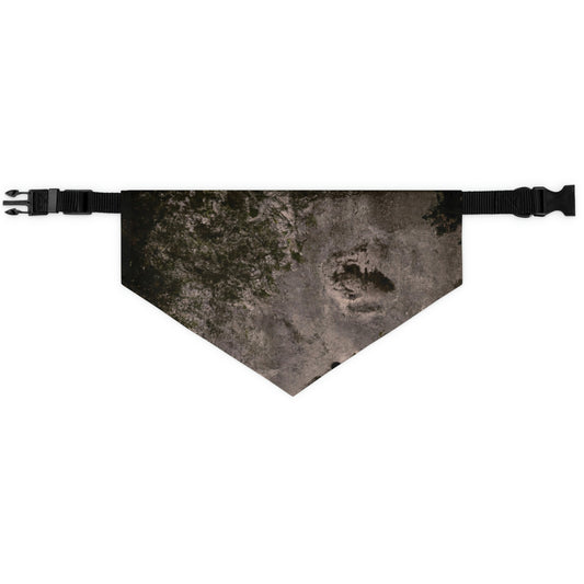 "Corner of Confidences" - The Alien Pet Bandana Collar