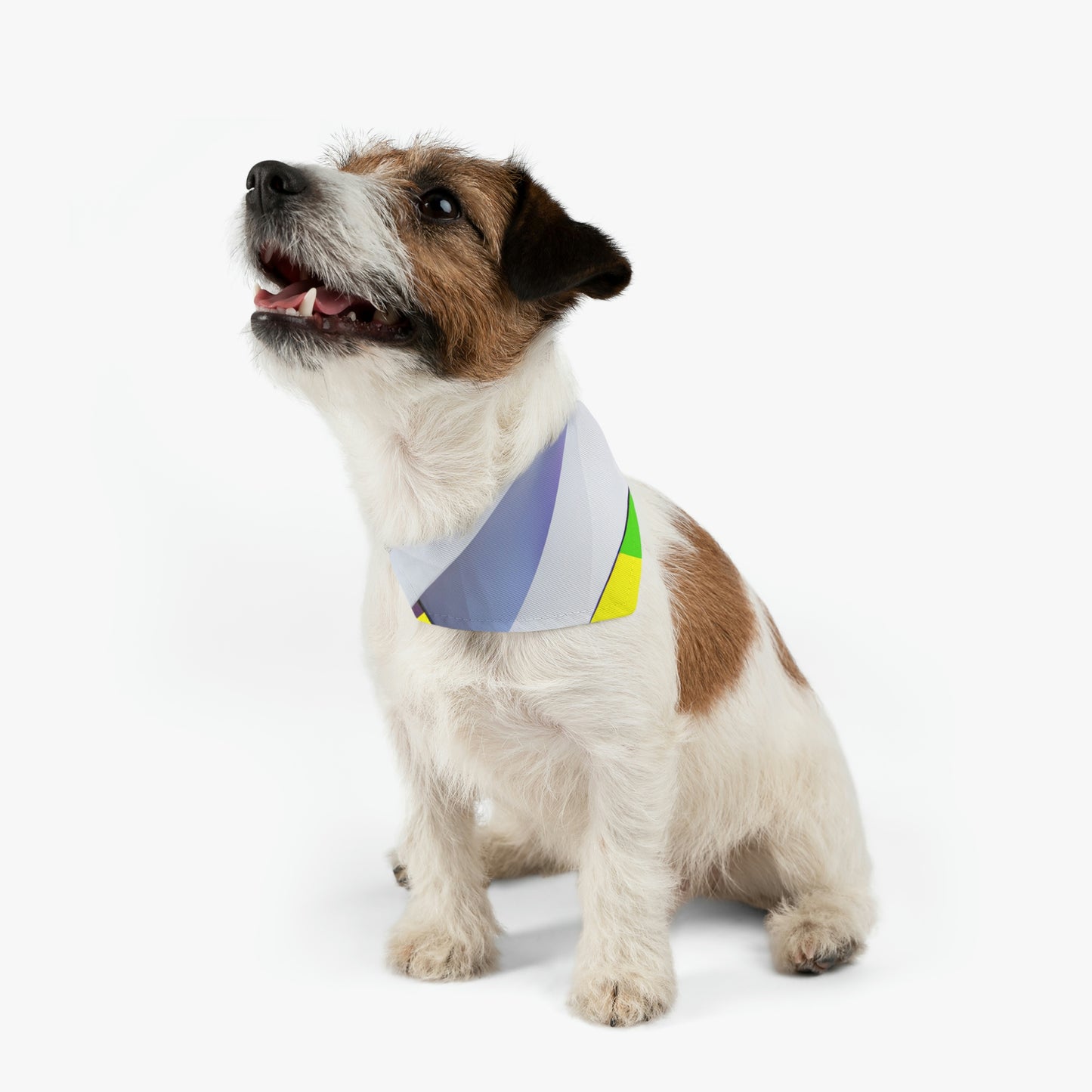 "A Flight of Color" - El collar de bandana para mascota alienígena