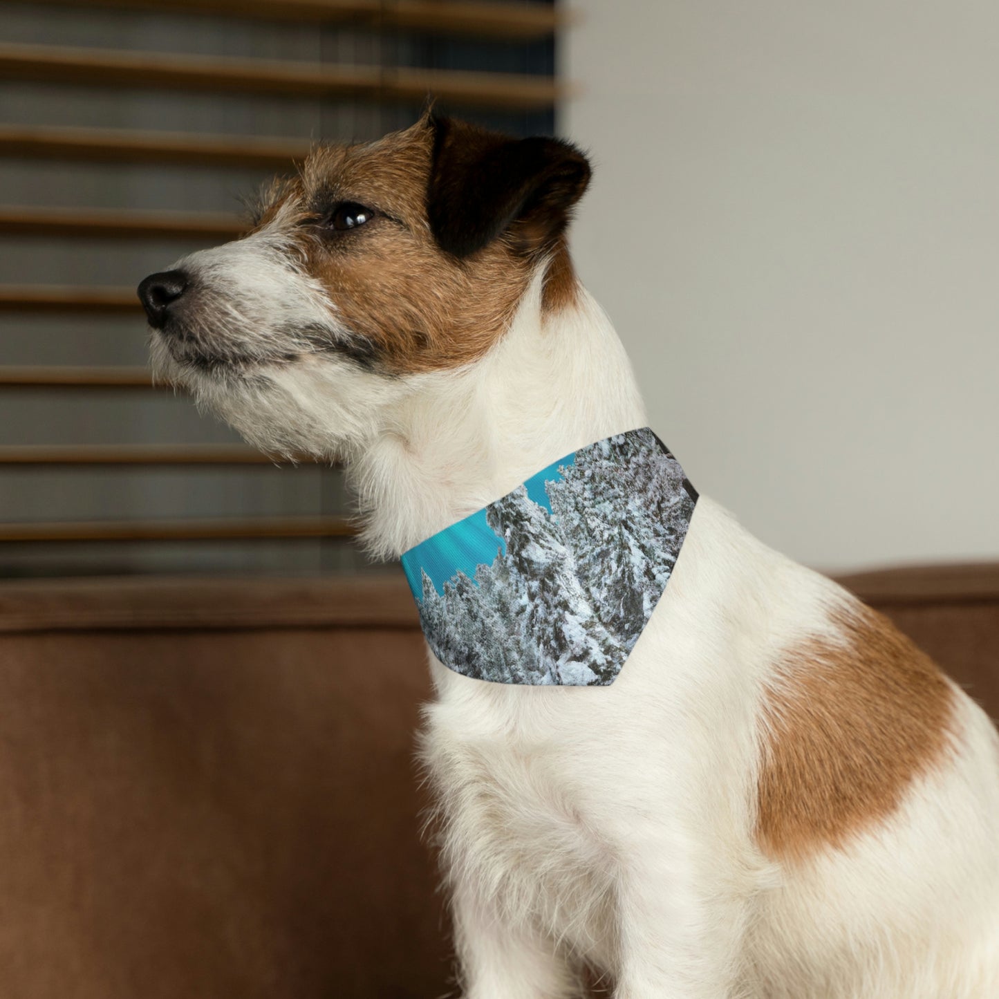 "Frostbitten Hero" - The Alien Pet Bandana Collar