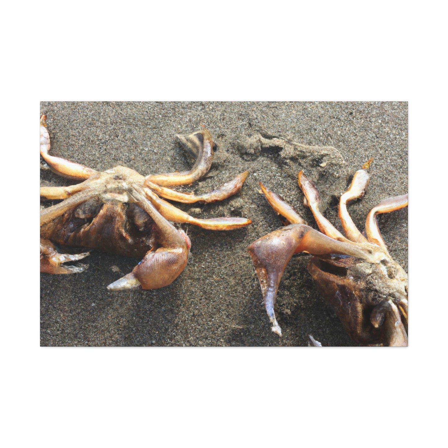 "Crab Creatures from the Sea" - The Alien Canva