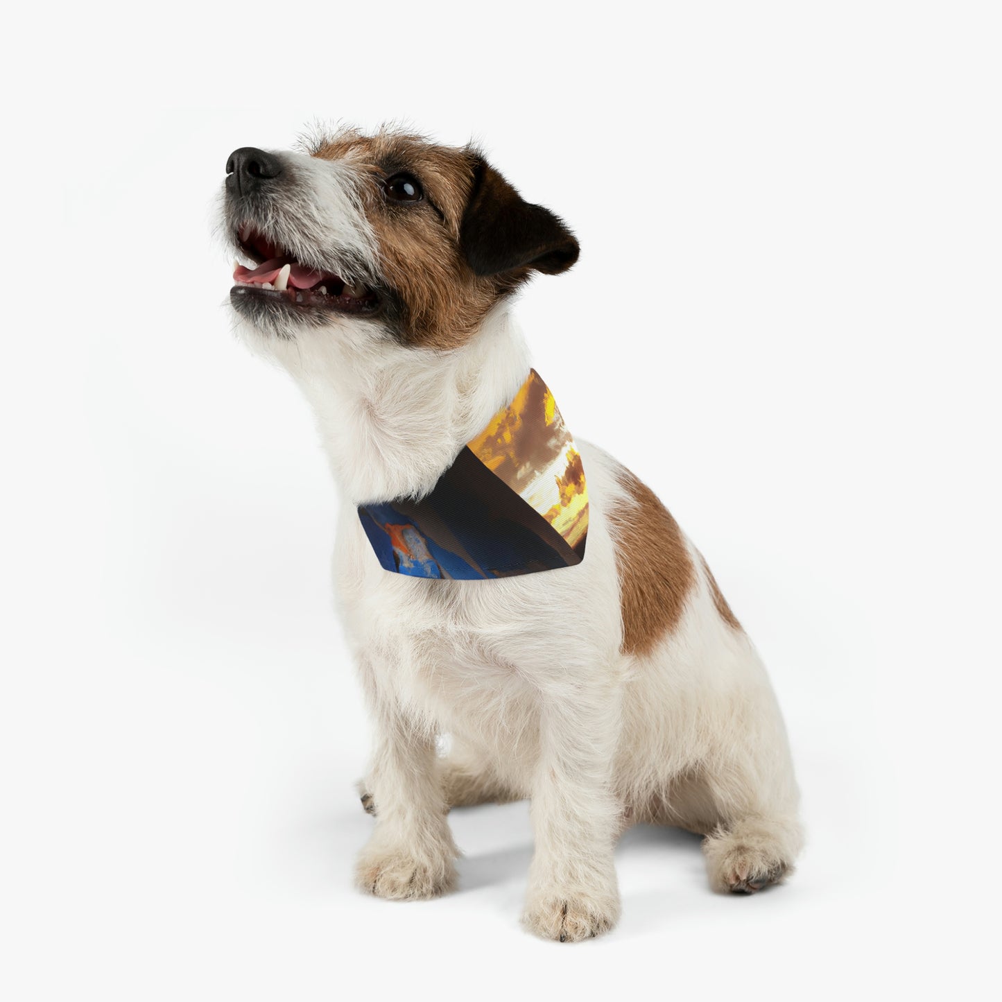 "Calma después de la tormenta" - El collar de bandana para mascota alienígena