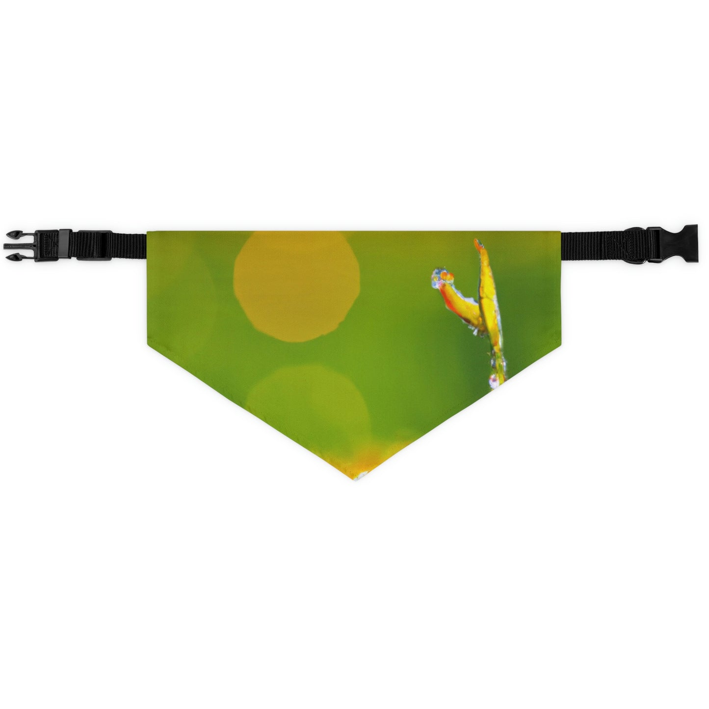 "A Lantern in the Mist." - The Alien Pet Bandana Collar