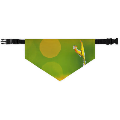 "A Lantern in the Mist." - The Alien Pet Bandana Collar