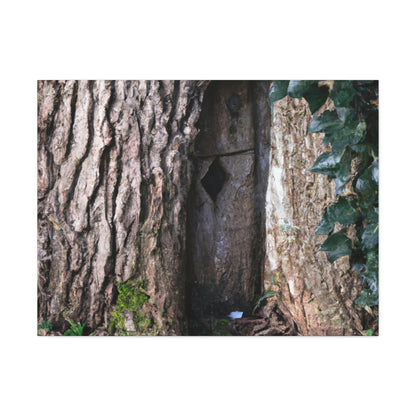 "La puerta misteriosa en el árbol antiguo" - The Alien Canva