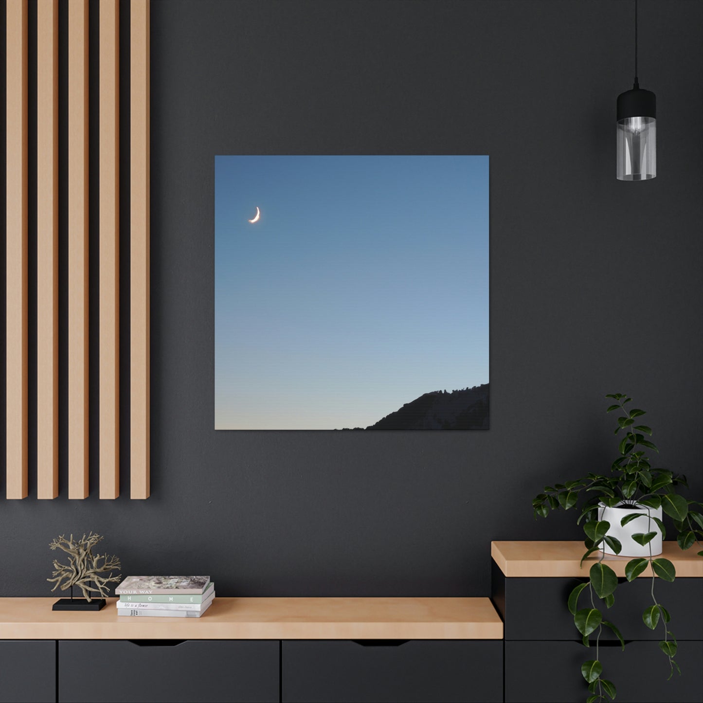 The Crescent Moon in Winter's Shadow - The Alien Canva