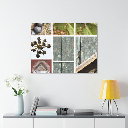 "Nature's Treasures: Celebrating the Beauty of Everyday Objects" - Canvas