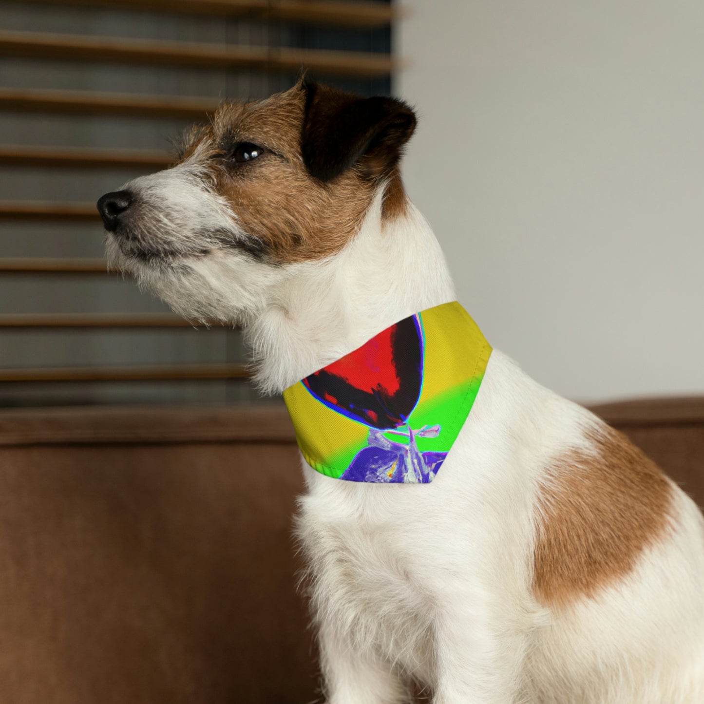 "Compañeros acogedores": el collar de bandana para mascotas alienígenas