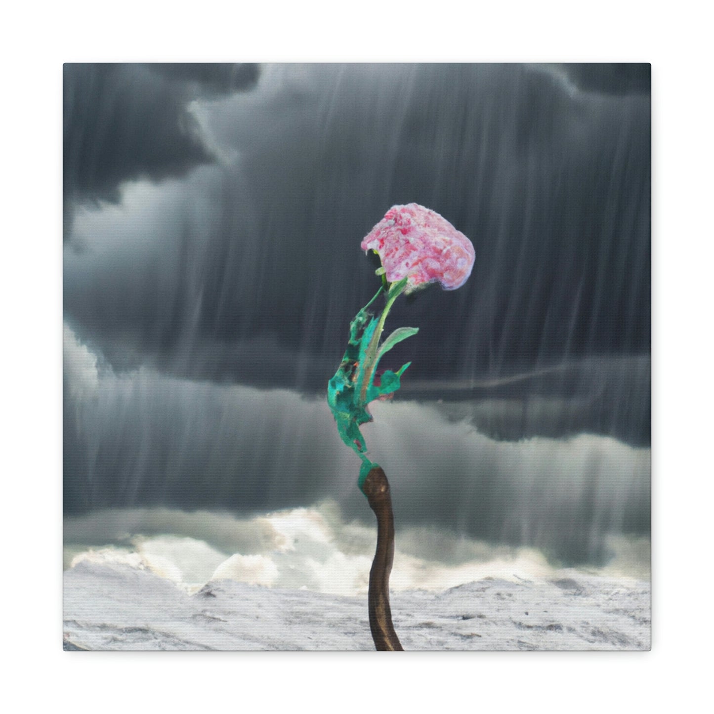 "Aight Against the Storm: The Story of a Lonely Flower" - The Alien Canva