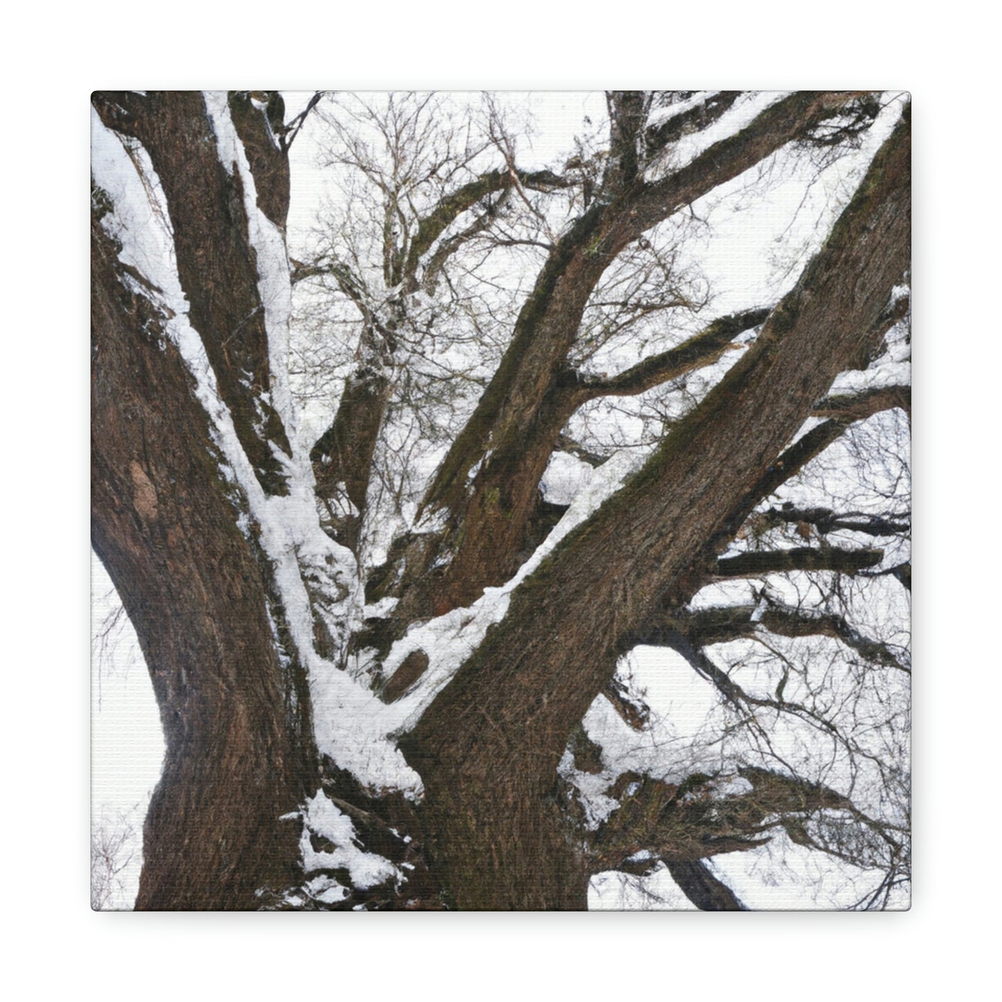 "Winter Wonderland Tree" - The Alien Canva