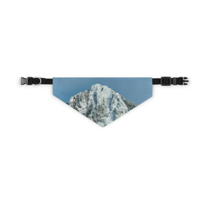 "Winter Wonderland" - The Alien Pet Bandana Collar #nft